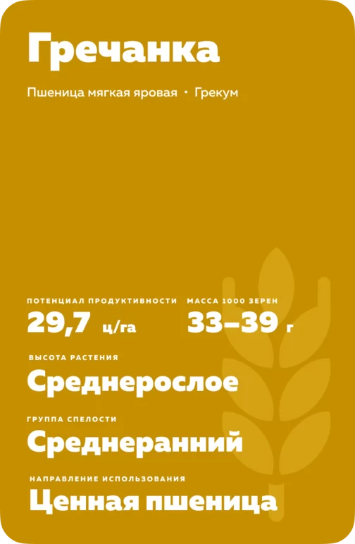Гречанка ® сорт мягкой яровой пшеницы