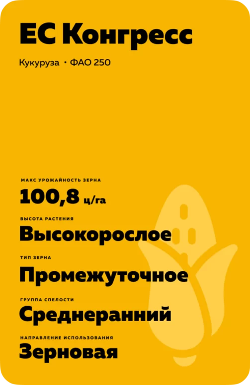 ЕС Конгресс (ES KONGRESS)