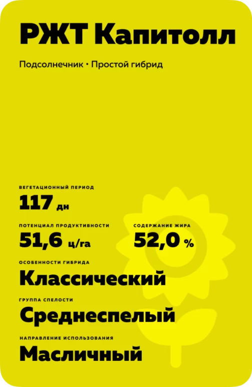 РЖТ Капитолл подсолнечник