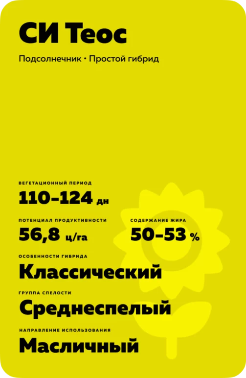 СИ Теос (SY THEOS) подсолнечник