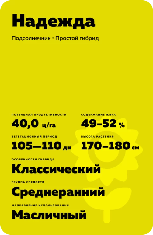 Надежда гибрид подсолнечника