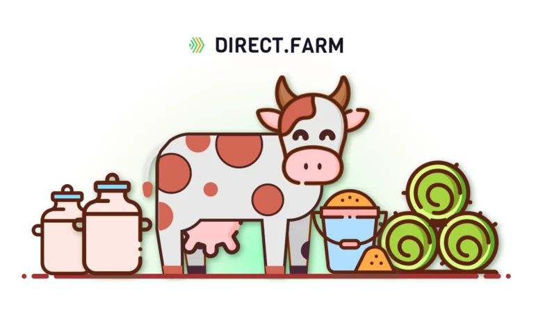 Как кормить коров с высокой продуктивностью?