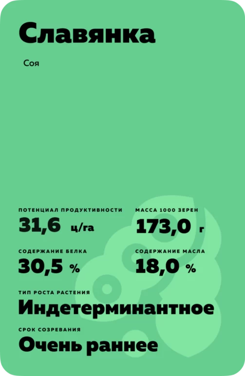 Славянка