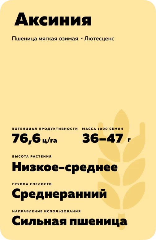 Аксинья ® сорт мягкой озимой пшеницы