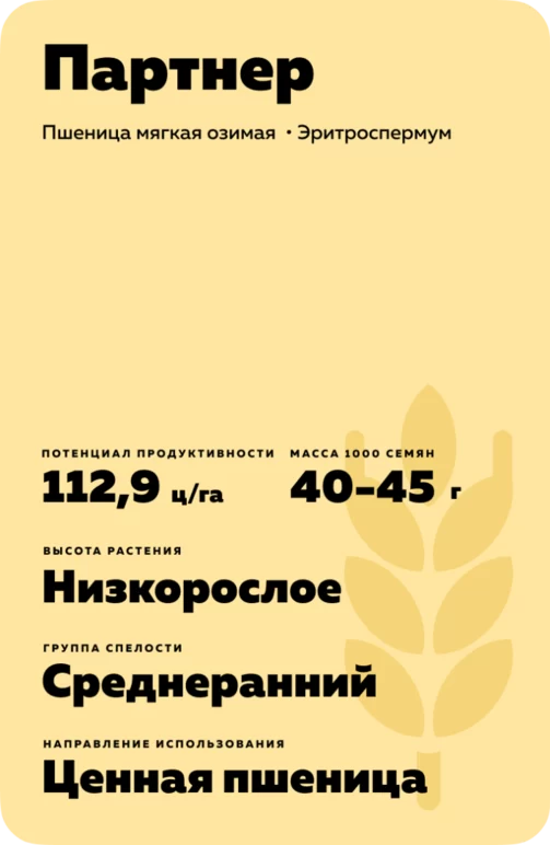 Партнер сорт мягкой озимой пшеницы
