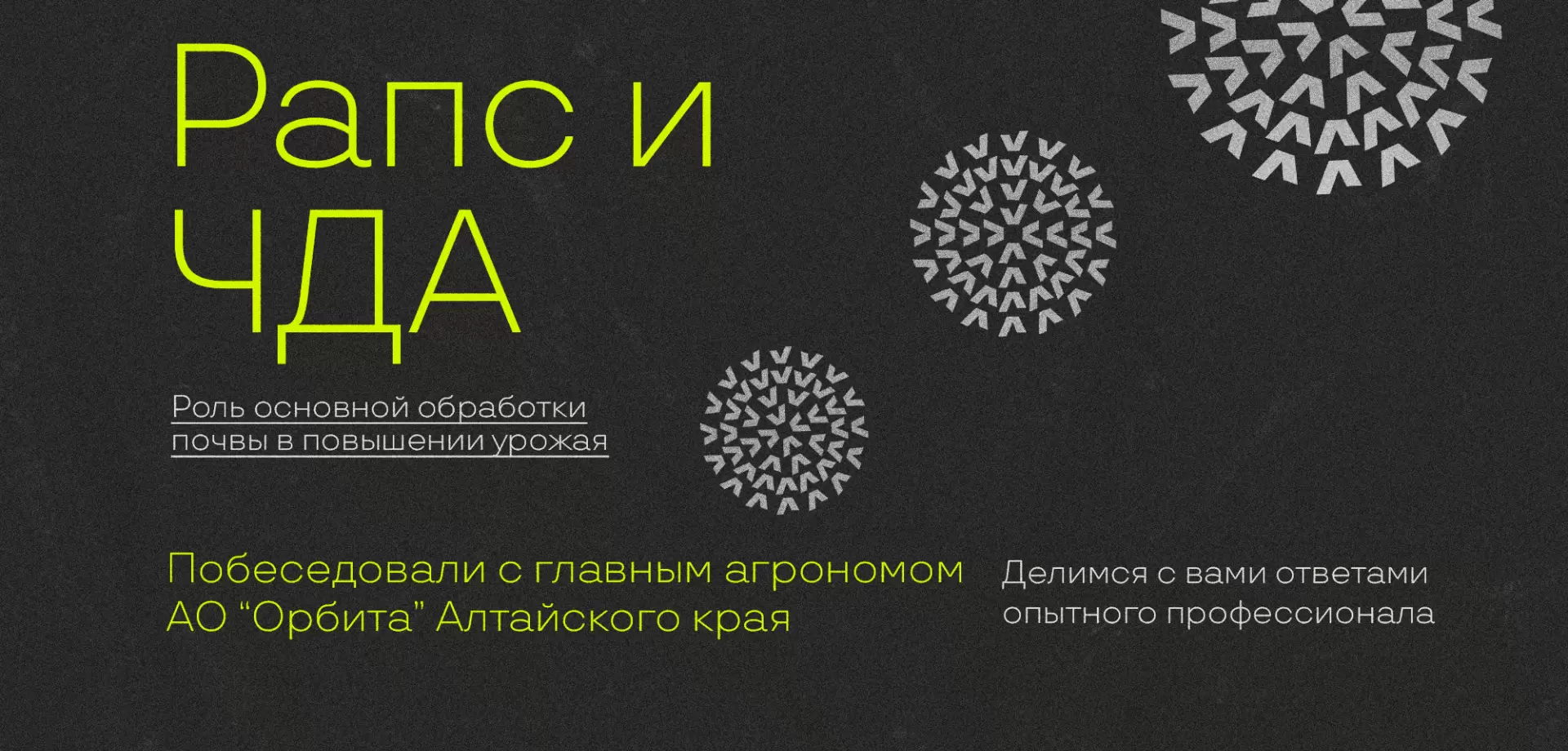 Как основная обработка почвы позволяет получать рекордные урожаи рапса?