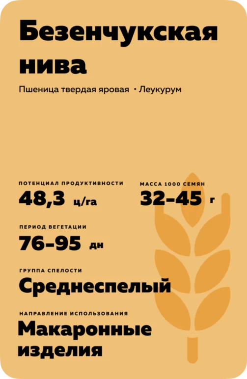 Безенчукская нива