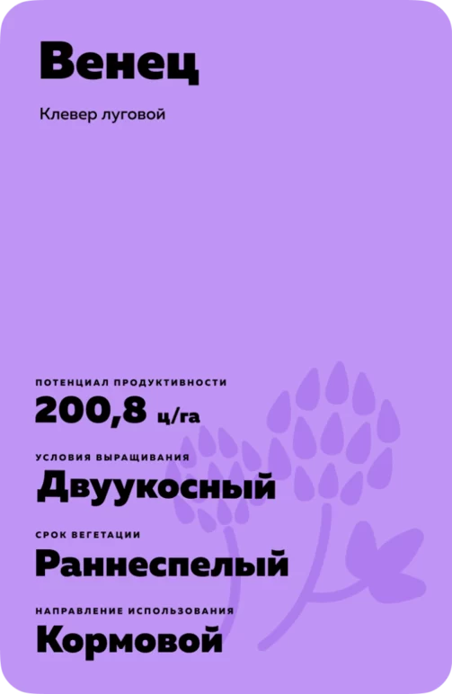 Венец