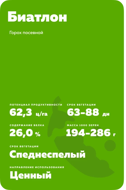 Биатлон сорт гороха посевного