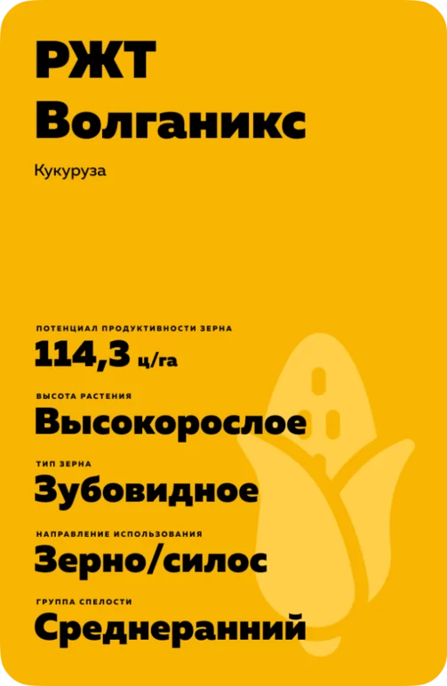 РЖТ Волганикс гибрид кукурузы