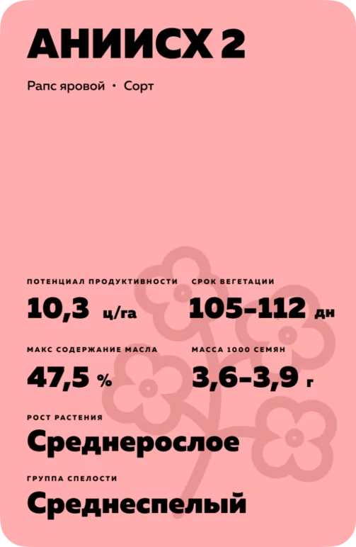АНИИЗИС 2