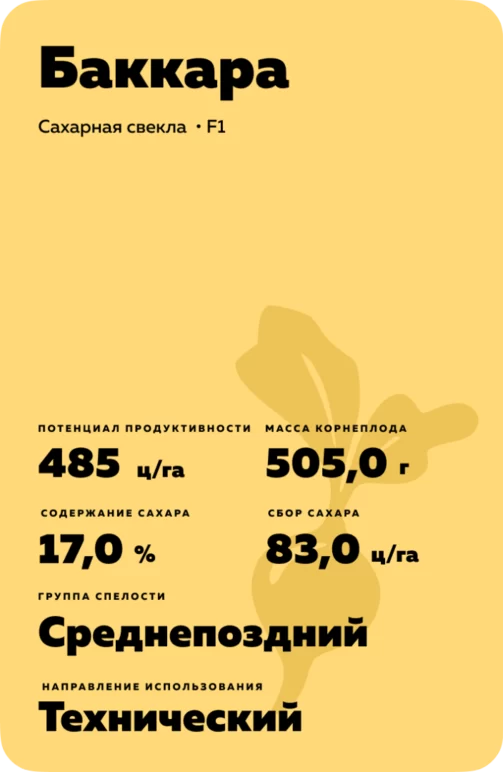 Баккара