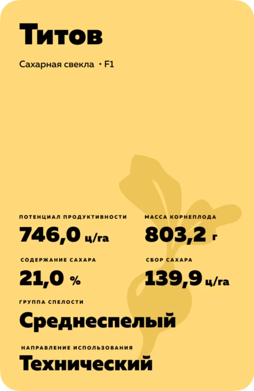 Титов  - гибрид свеклы сахарной (Beta vulgaris L. ssp. vulgaris var. saccharifera Alef.).