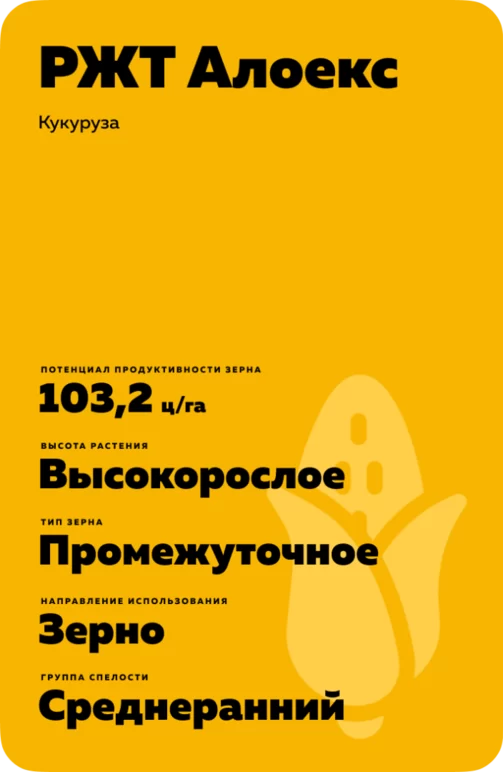 РЖТ Алоекс гибрид кукурузы