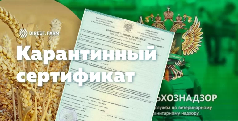 Аргус фито россельхознадзор погасить карантинный сертификат