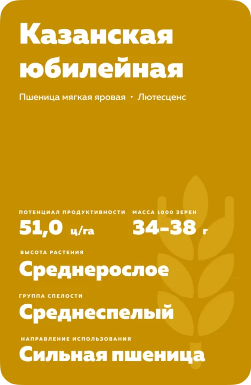Казанская юбилейная