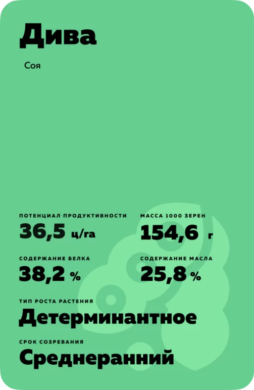 Дива