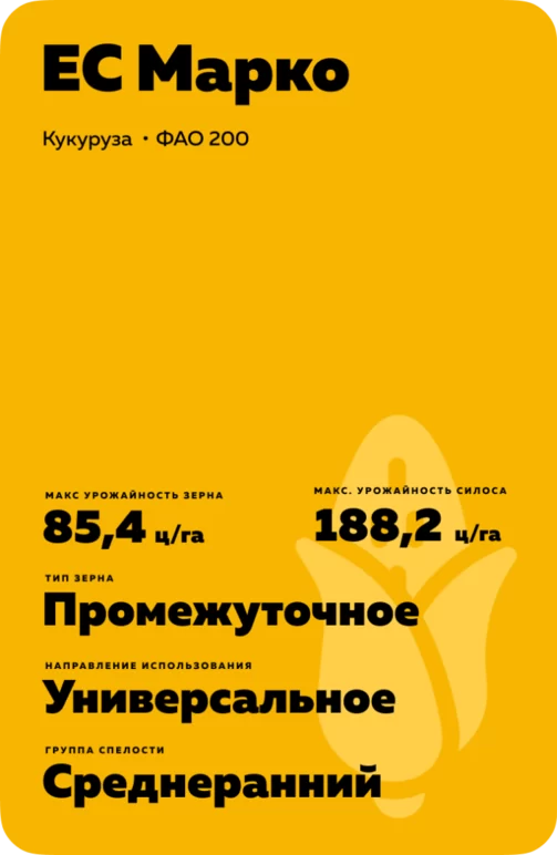 ЕС Марко