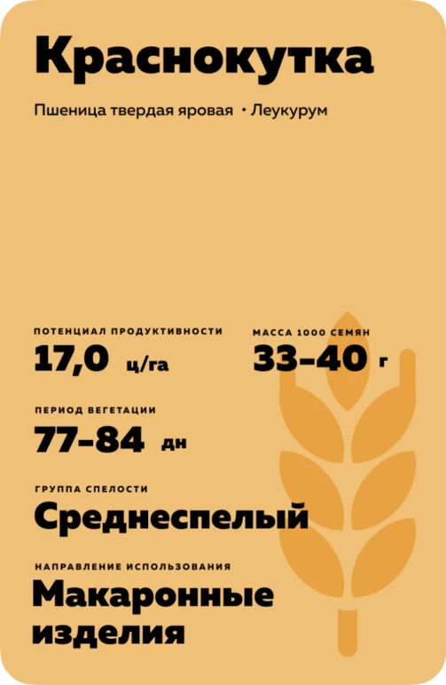 Краснокутка 13