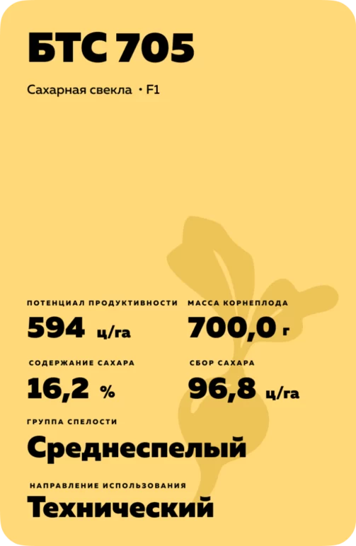 БТС 705 (BTS 705) сахарная свекла