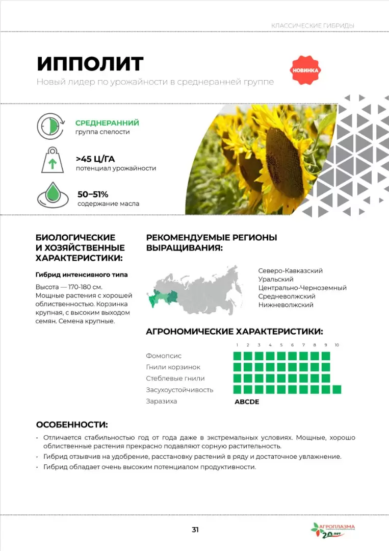 Ипполит - сорта и гибриды подсолнечника. Характеристики и отзывы