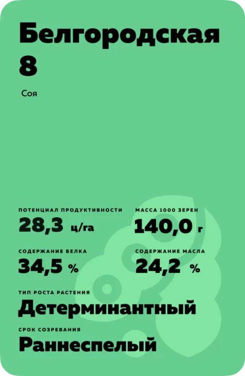 Белгородская 8