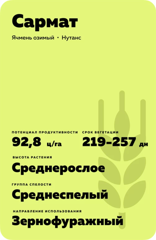 Сармат сорт озимого ячменя