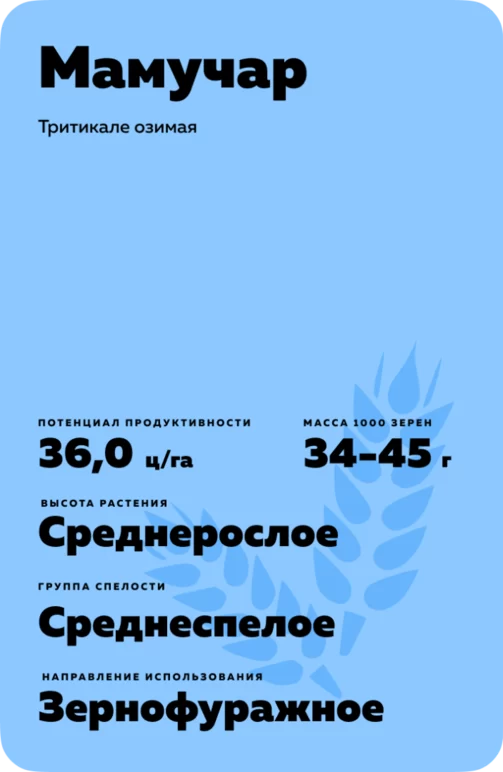 Мамучар