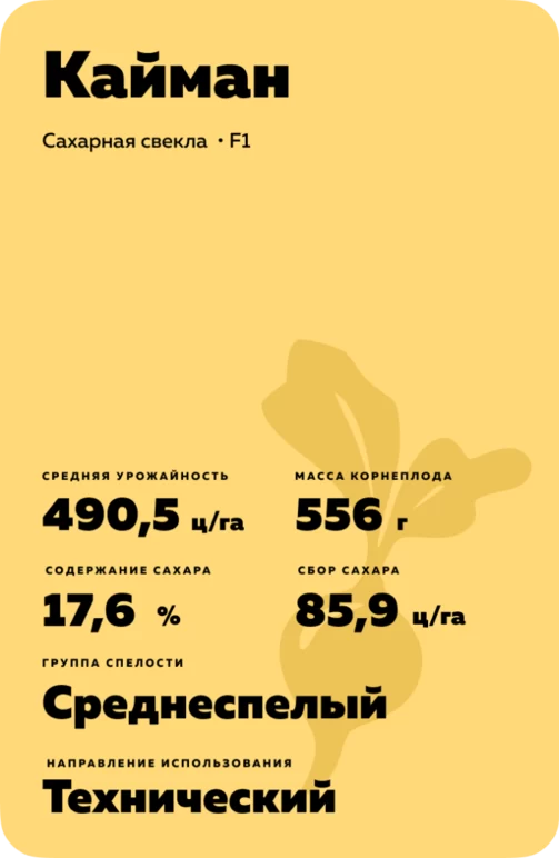 Кайман
