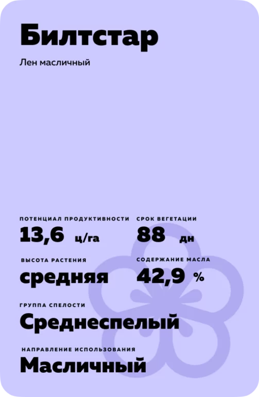 Билтстар (BILTSTAR) сорт льна масличного