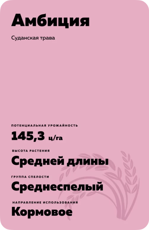 Амбиция