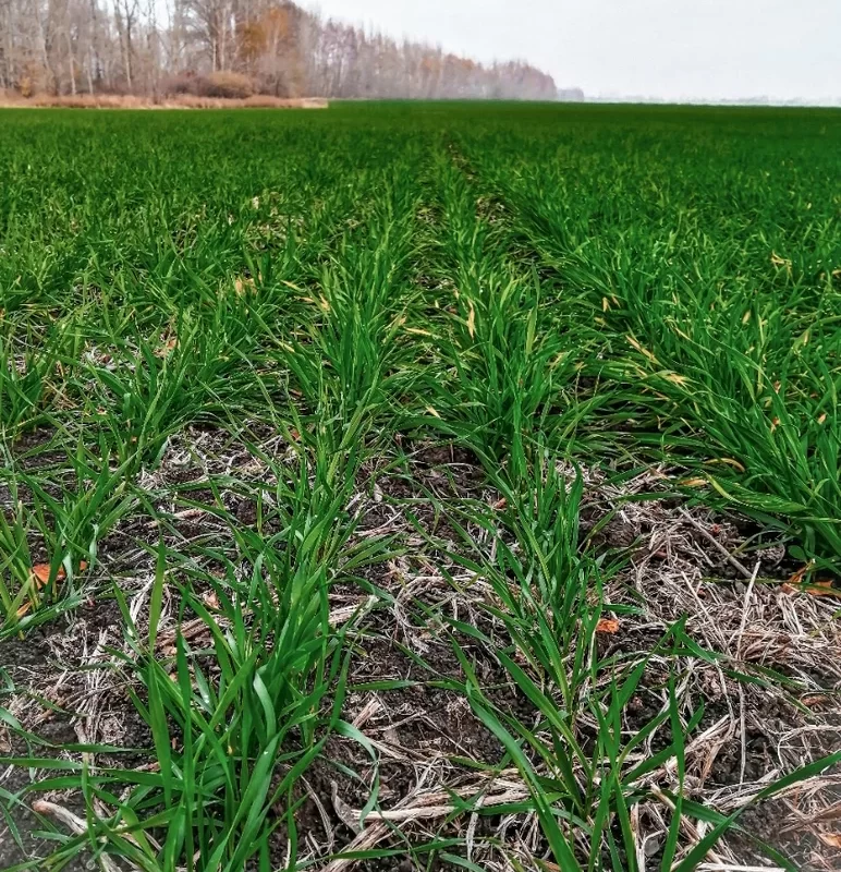 ОЦЕНИТЕ СЕБЯ ПО 10 ВОПРОСАМ