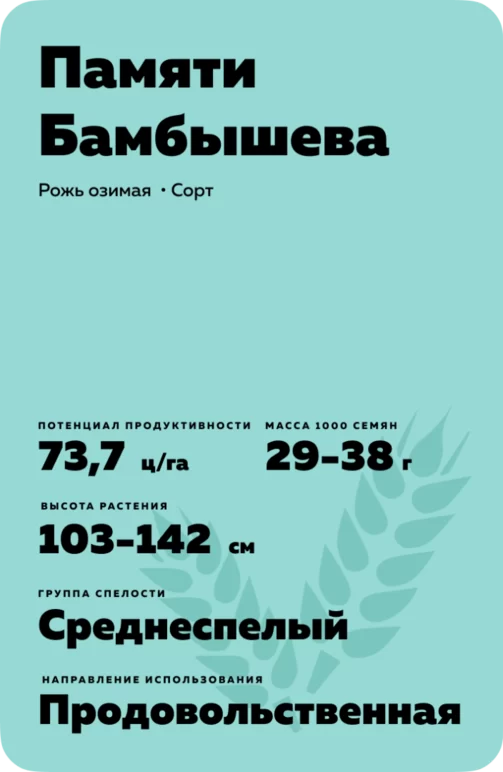 Памяти Бамбышева рожь озимая
