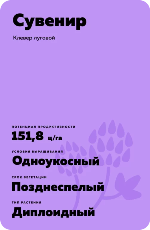 Сувенир
