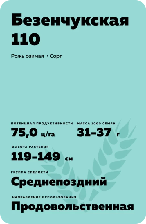 Безенчукская 110 рожь озимая