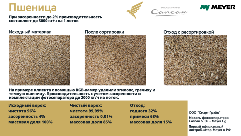 Результаты очистки пшеницы на фотосепараторах Сапсан, Meyer - протокол испытаний