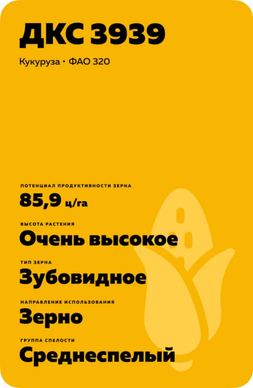 ДКС 3939 гибрид кукурузы