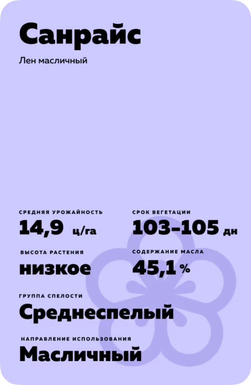 Санрайс (SUNRISE) сорт льна масличного