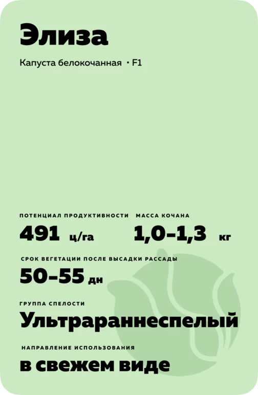 Элиза (ELISA) гибрид капусты белокочанной