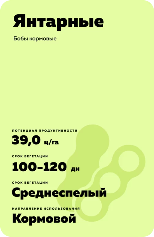 Янтарные