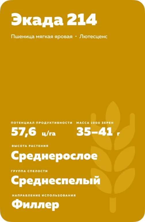 Экада 214 сорт мягкой яровой пшеницы