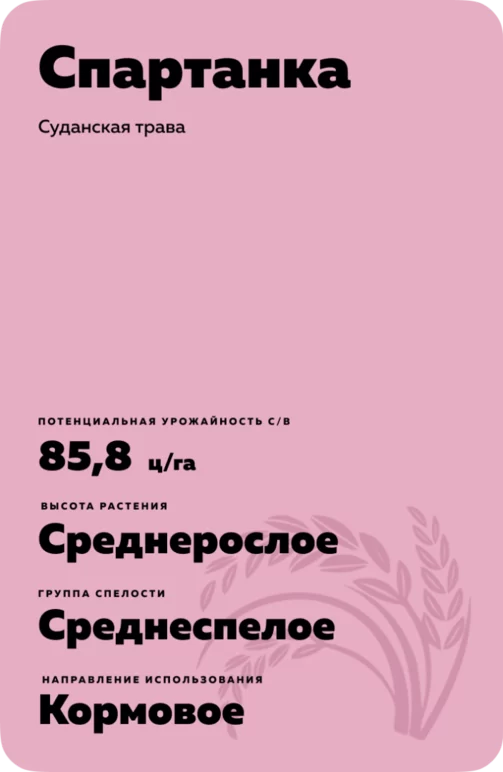Спартанка