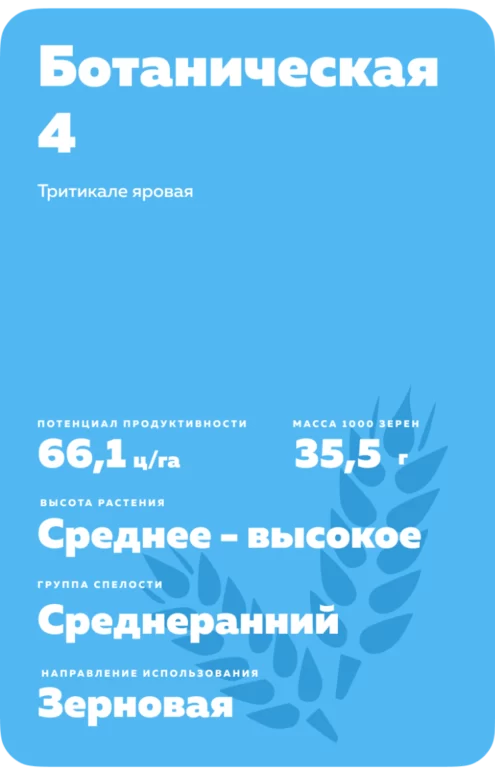 Ботаническая 4 тритикале яровая