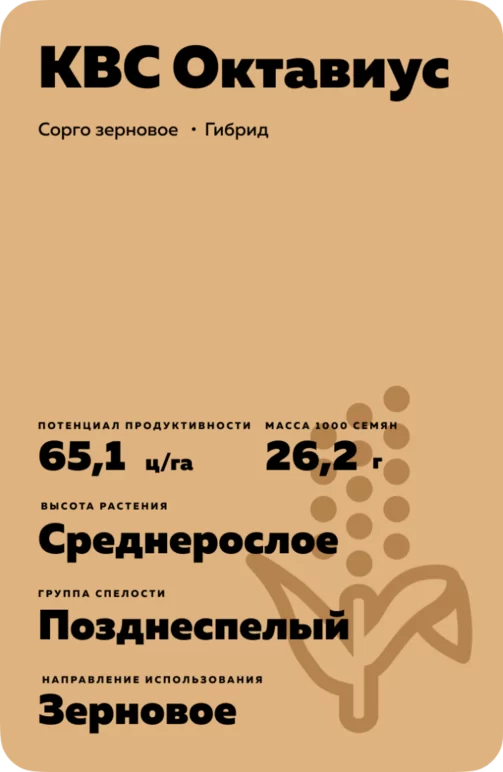 КВС Октавиус (KWS OCTAVIUS) сорго зерновое