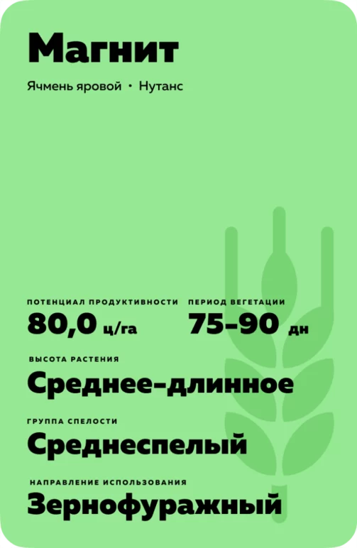 Магнит сорт ячменя ярового