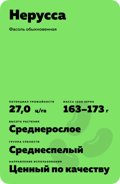 Нерусса