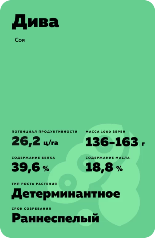 Дина