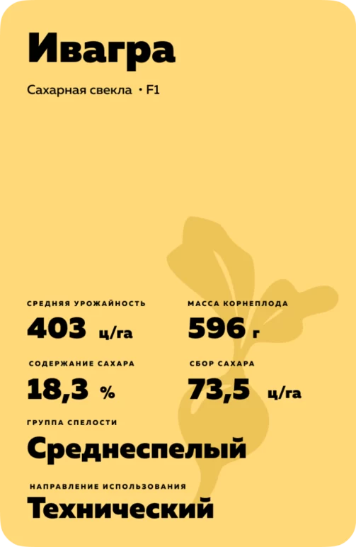 Ивагра гибрид сахарной свеклы