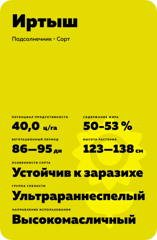 Иртыш ® сорт подсолнечника