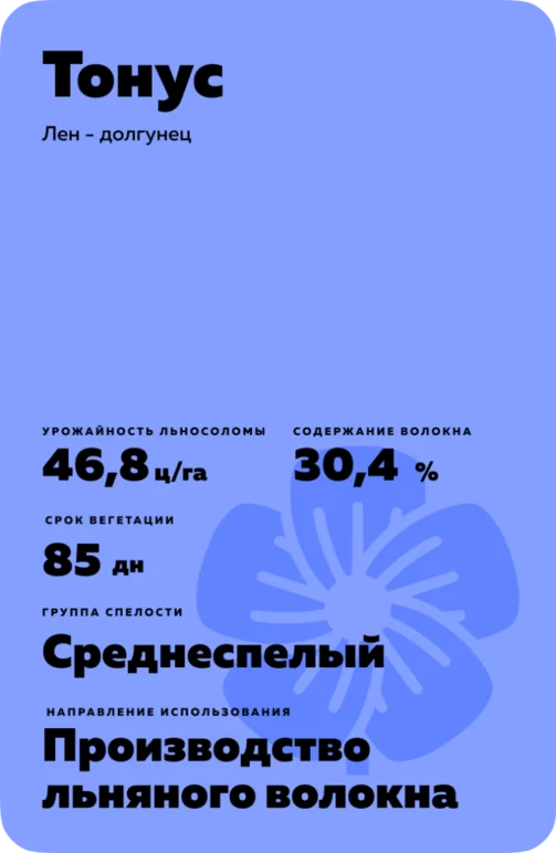Тонус